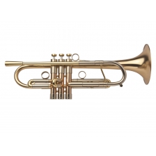 Trumpet A4 Selected Model