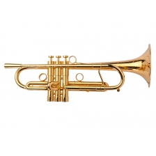 Trumpet A4 L Custom Series