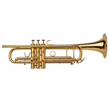 Trumpet A10 Selected Model - Lacquered